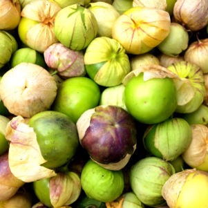 Tomatillo Seeds | Purple
