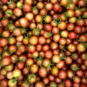 Tomato Seeds | Black Cherry