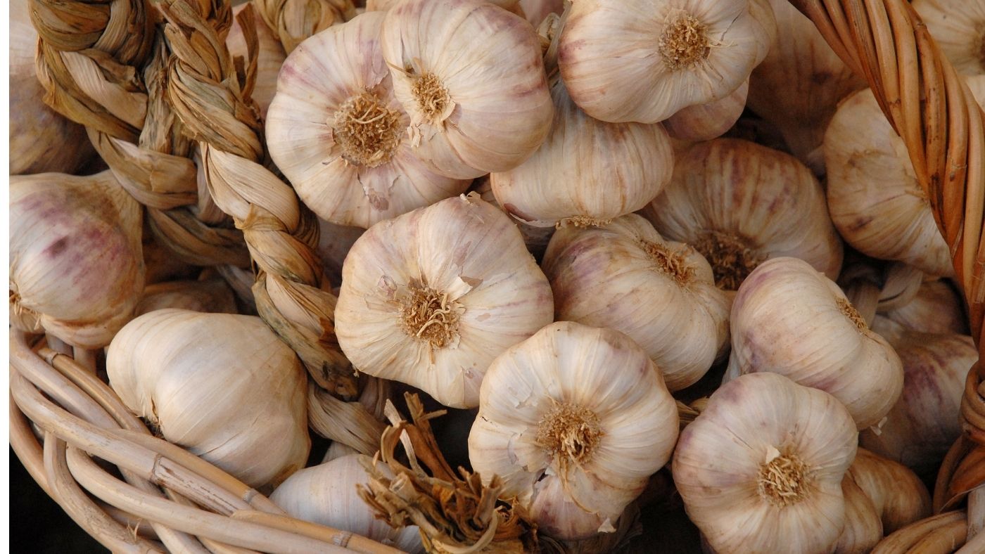 How to braid garlic