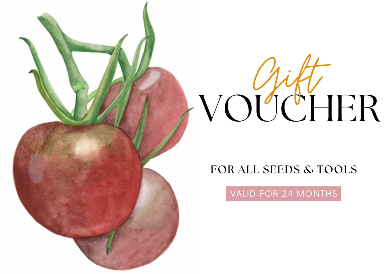 Store Gift Voucher