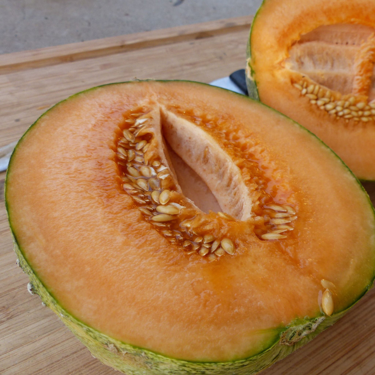 Rockmelon Seed | Hales Best