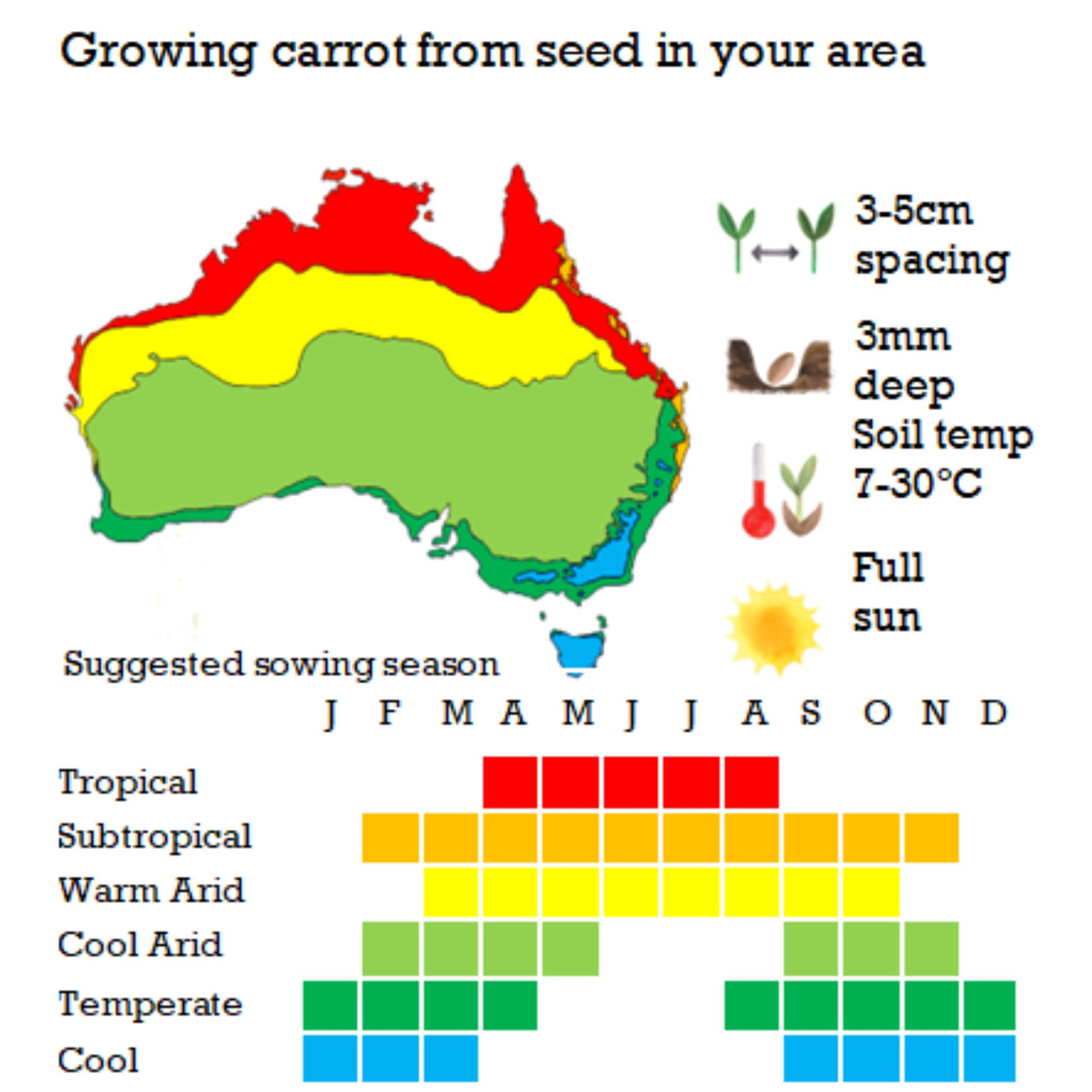 Carrot Seeds | Autumn Giant (Flak)