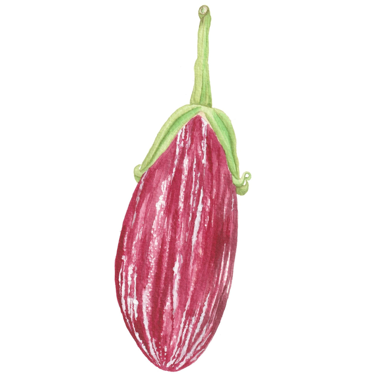 Eggplant Seeds | Listada di Gandia
