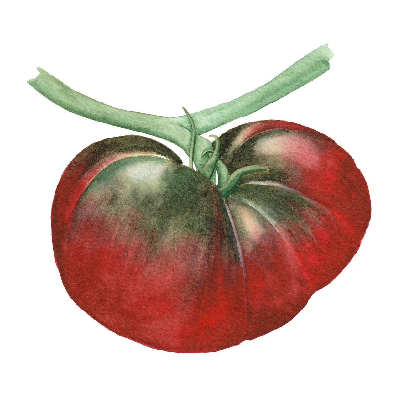 Tomato Seeds | Black Krim