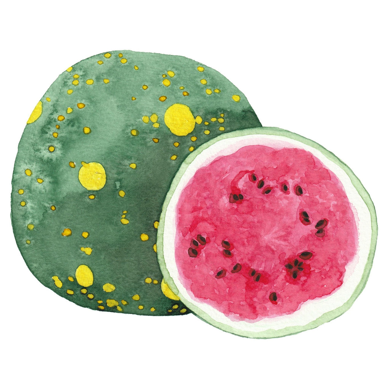 Watermelon Seeds | Moon and Stars
