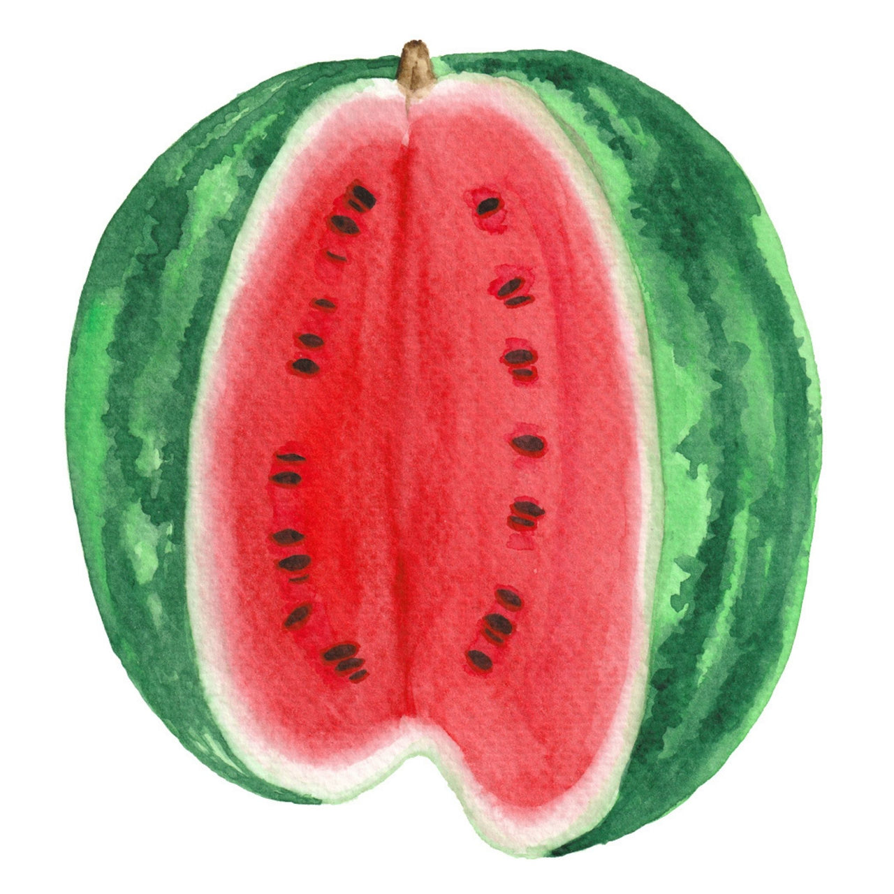 Watermelon seeds | Warpaint