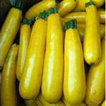 Zucchini Seeds | Golden